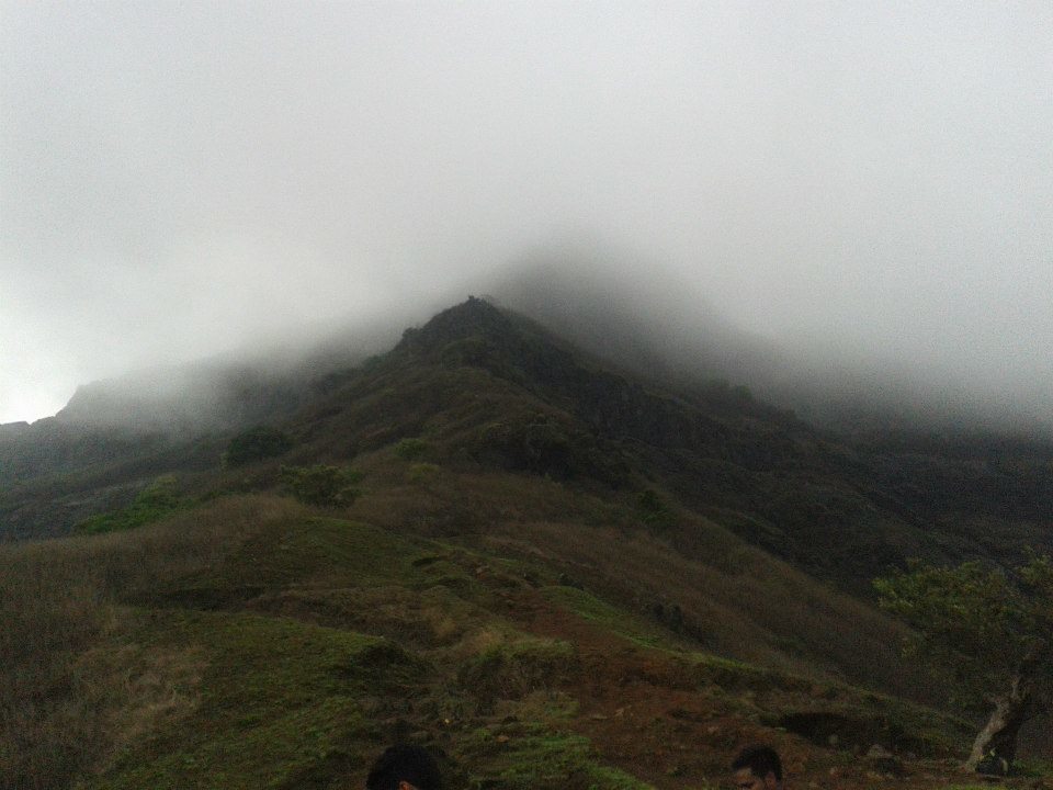 Photo of Rajgad to Torna; A Journey in the History 12/16 by Rini Biswas