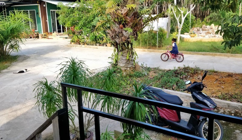 Photo of One Week in Mainland Trang Province (South Thailand under INR 1000 per day) #notonTripoto 4/75 by Rishabh Dev