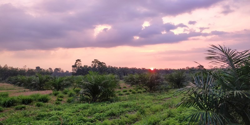 Photo of One Week in Mainland Trang Province (South Thailand under INR 1000 per day) #notonTripoto 75/75 by Rishabh Dev