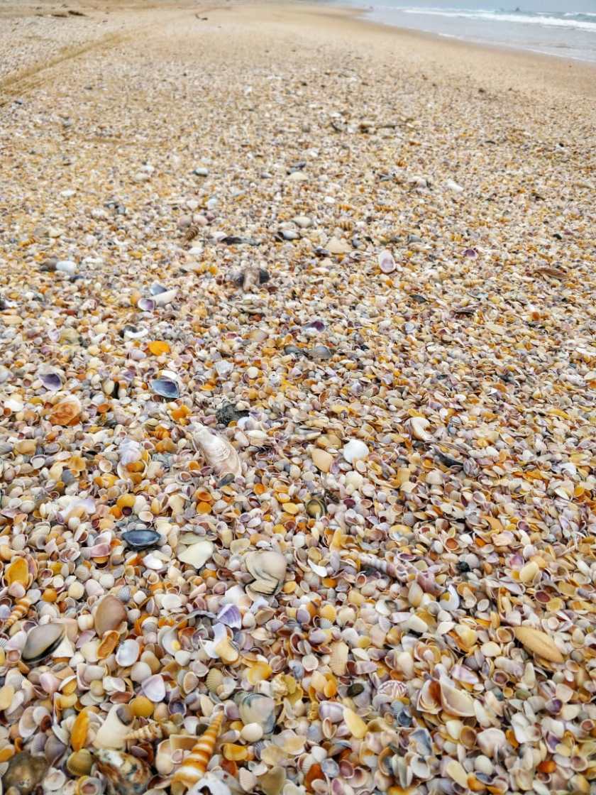 Photo of Unexplored South Goa: 5 Beaches, 5 Days by Rishabh Dev