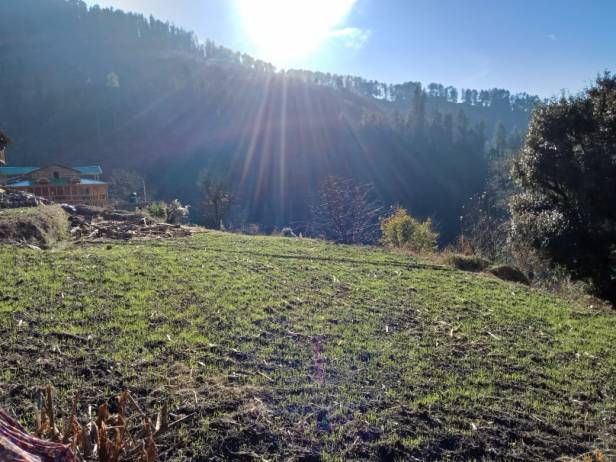 Photo of "Unfolding the Manali I saw" 3/12 by Brinda