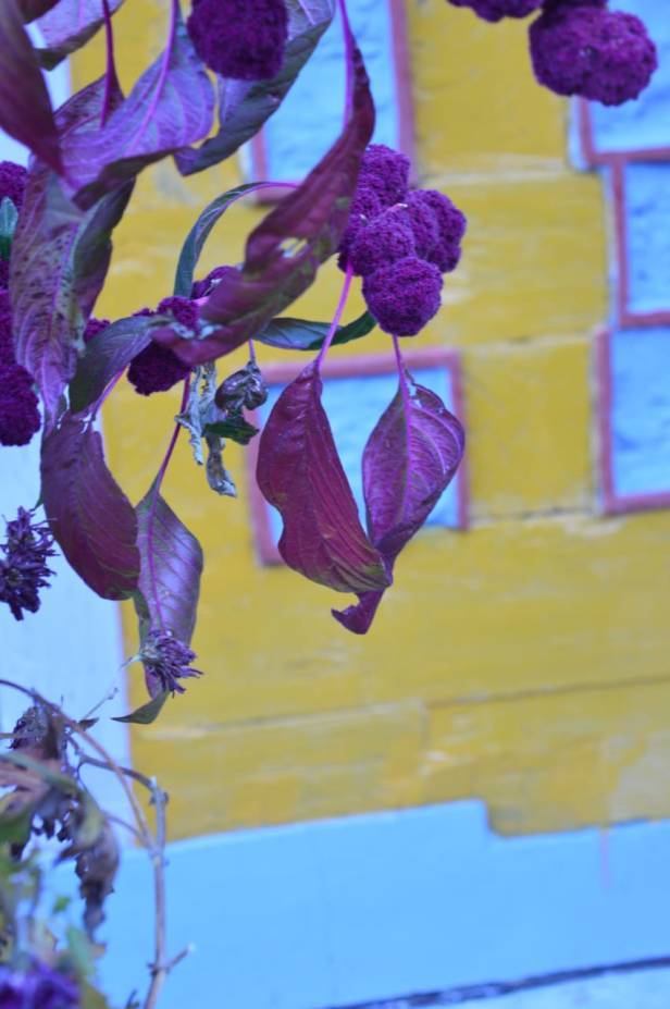 Photo of "Unfolding the Manali I saw" 5/12 by Brinda