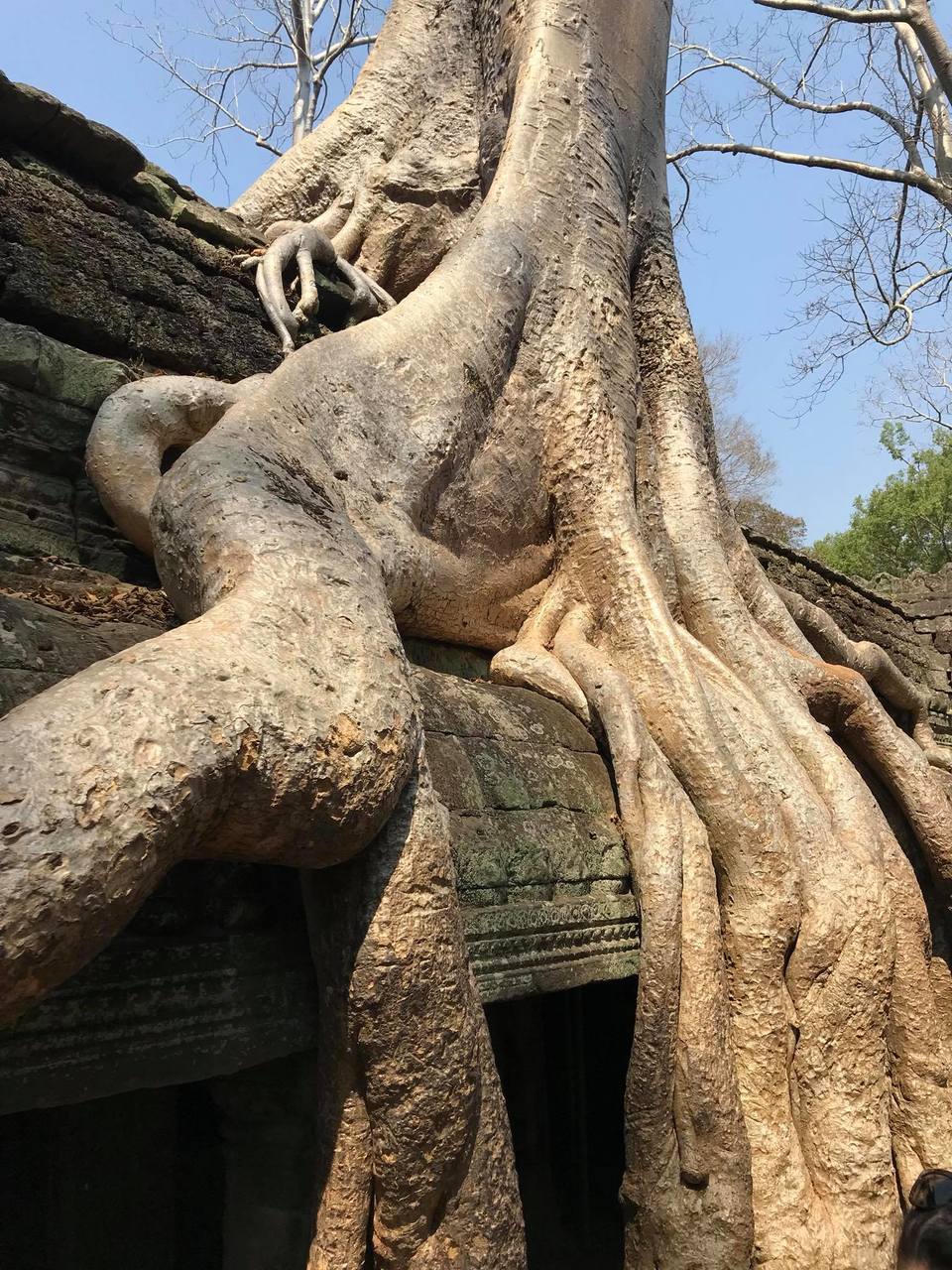 Photo of HOW I TRAVELED SUPER-CHEAP TO CAMBODIA 6/7 by ALOK SINGH