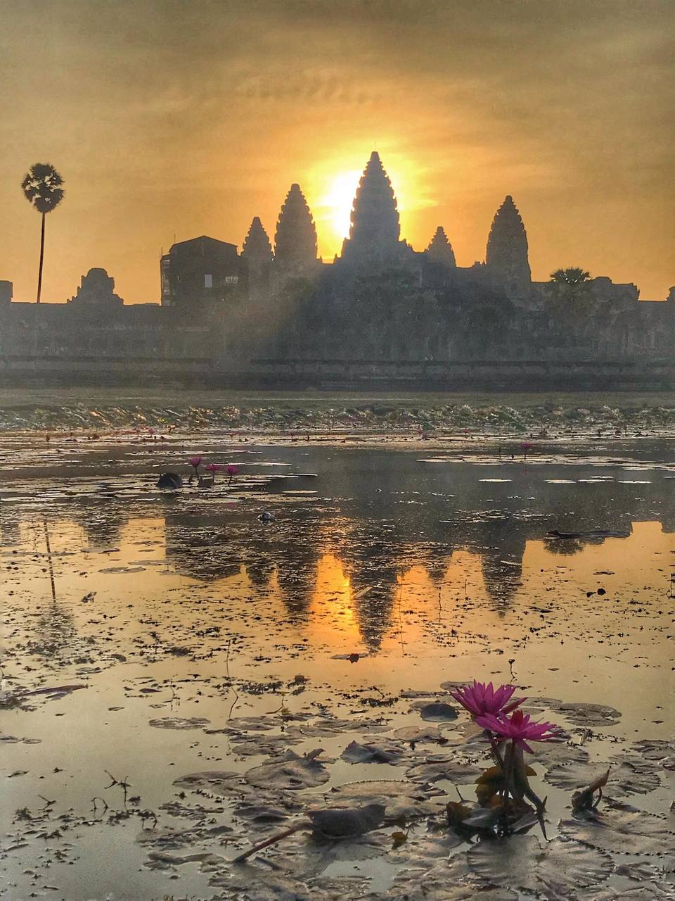 Photo of HOW I TRAVELED SUPER-CHEAP TO CAMBODIA 5/7 by ALOK SINGH