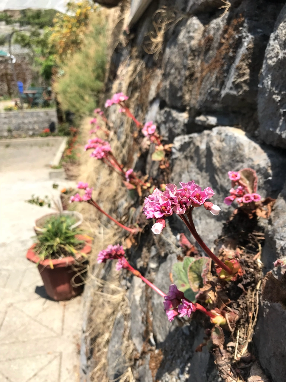 Photo of Himalyan Foothills Of Kausani! 3 Day Escapade. by Nida