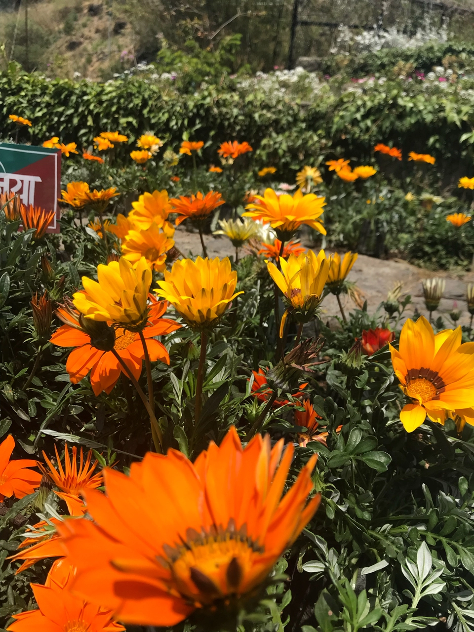 Photo of Himalyan Foothills Of Kausani! 3 Day Escapade. by Nida