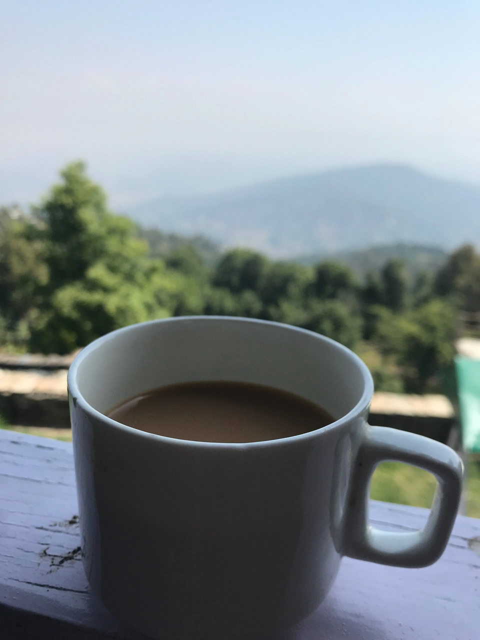 Photo of Himalyan Foothills Of Kausani! 3 Day Escapade. by Nida