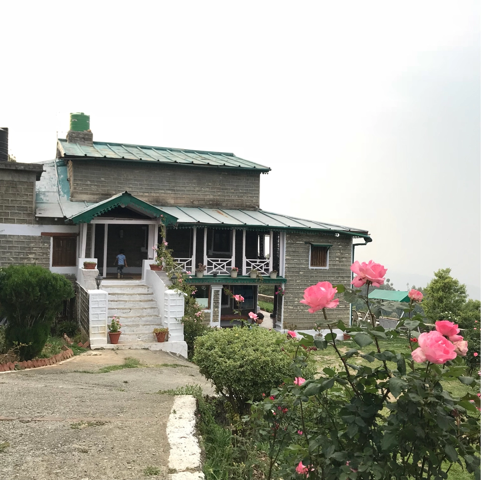 Photo of Himalyan Foothills Of Kausani! 3 Day Escapade. by Nida