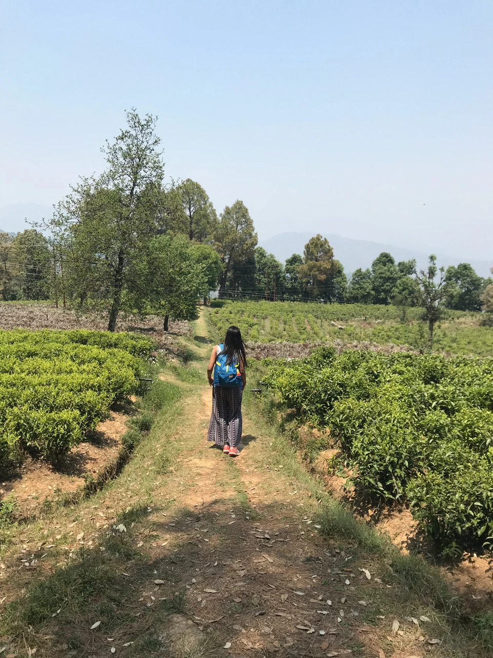 Photo of Himalyan Foothills Of Kausani! 3 Day Escapade. by Nida