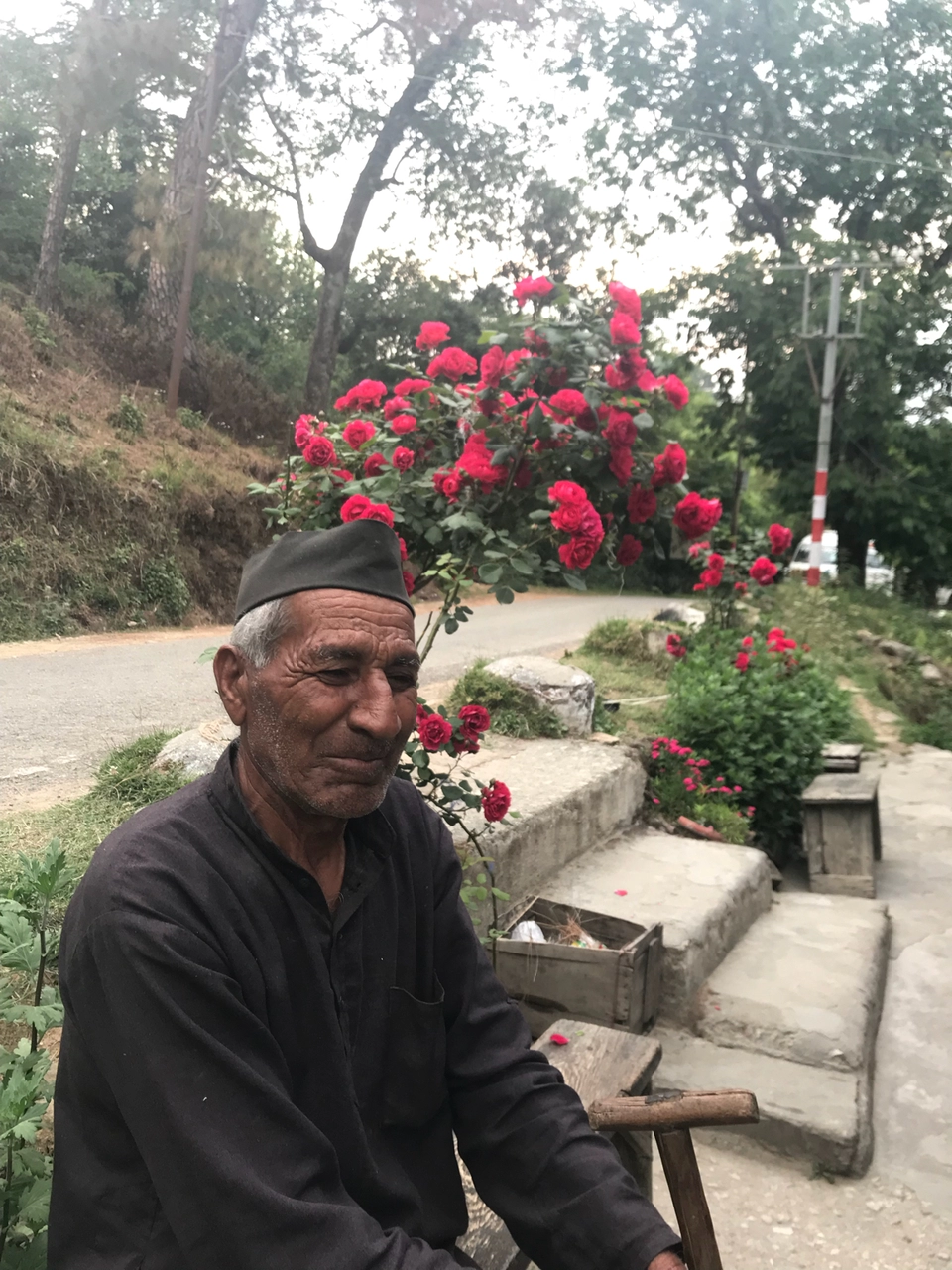 Photo of Himalyan Foothills Of Kausani! 3 Day Escapade. by Nida