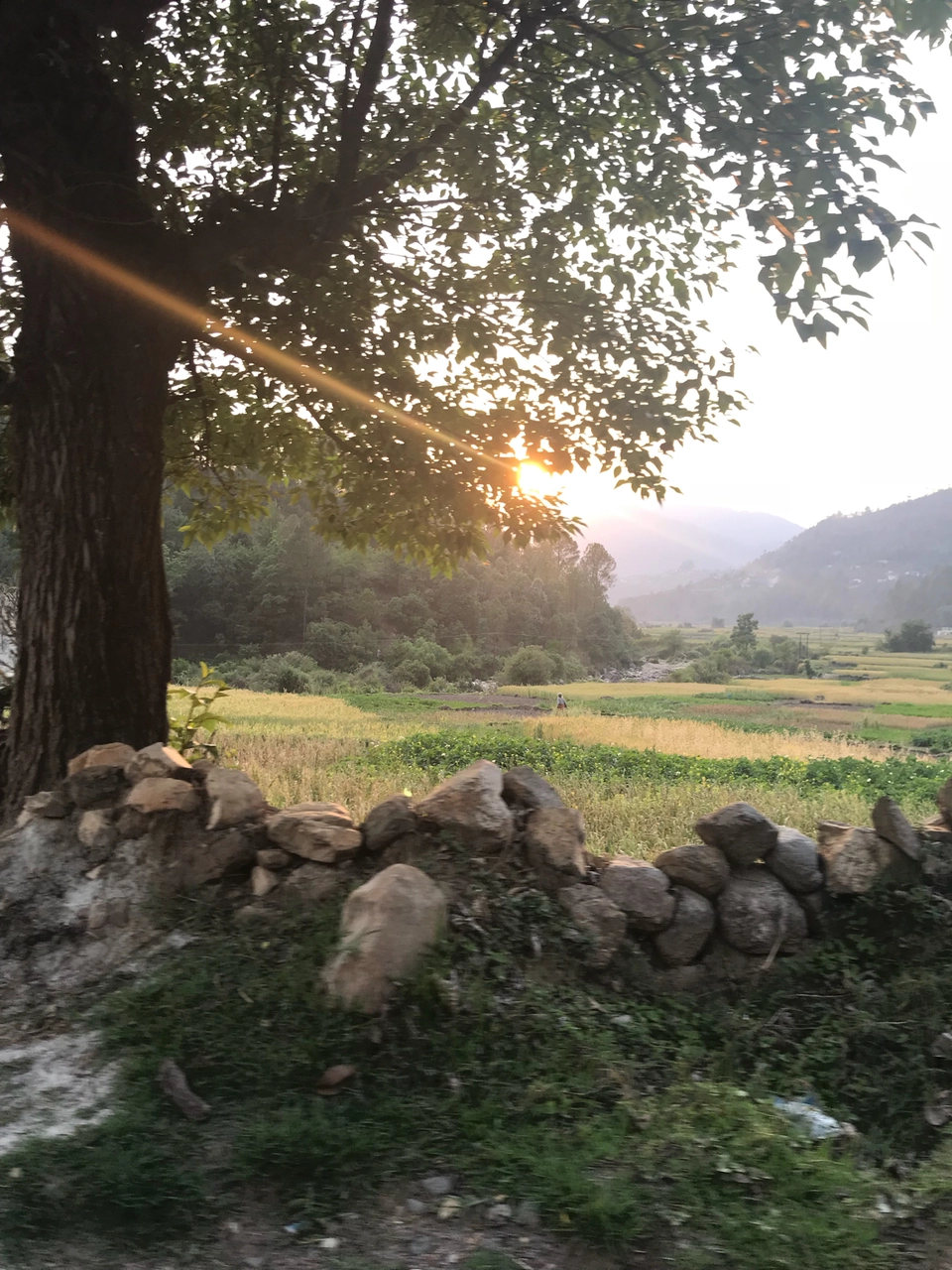Photo of Himalyan Foothills Of Kausani! 3 Day Escapade. by Nida