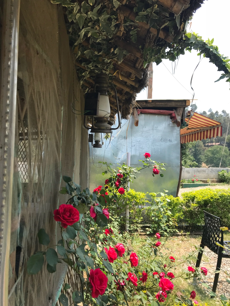 Photo of Himalyan Foothills Of Kausani! 3 Day Escapade. by Nida
