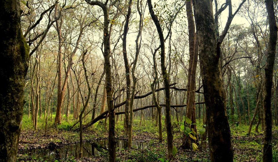 Photo of Parmadan : Offbeat picnic destination near Kolkata 2/7 by RAhul Debnath
