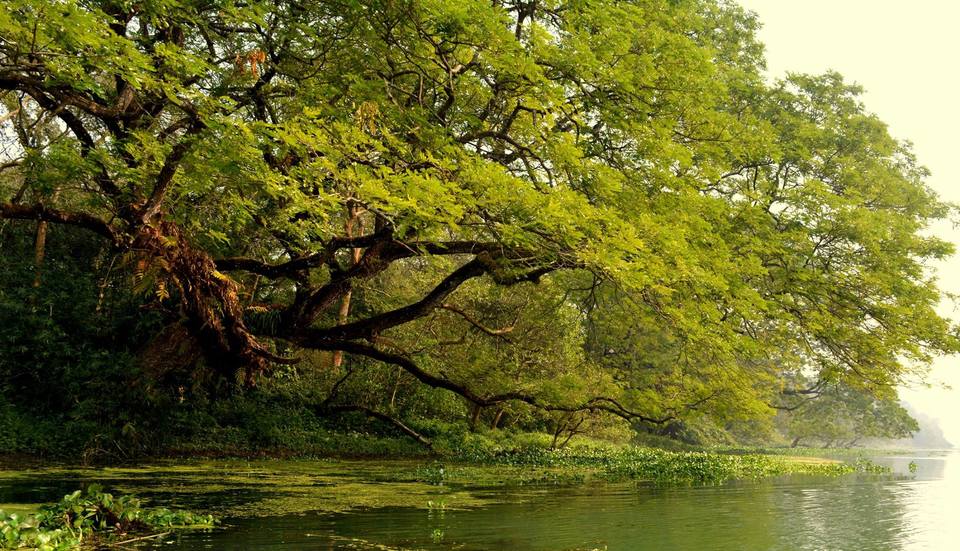 Photo of Parmadan : Offbeat picnic destination near Kolkata 1/7 by RAhul Debnath