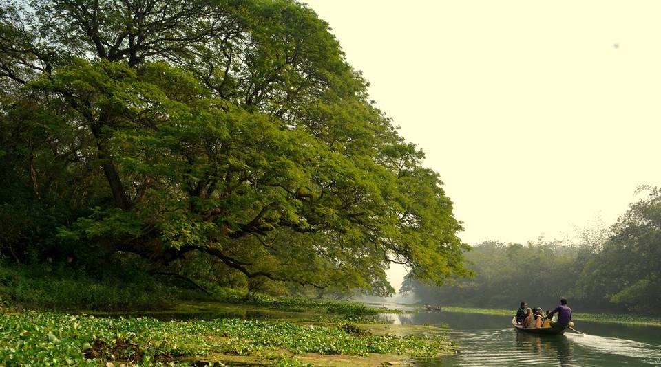 Photo of Parmadan : Offbeat picnic destination near Kolkata 3/7 by RAhul Debnath