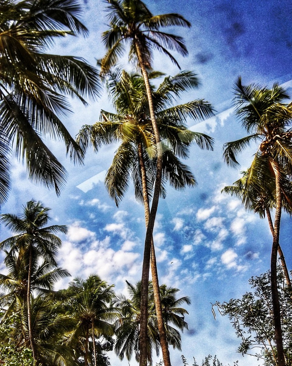 Photo of Baga Beach, Goa by Debadrita Basak