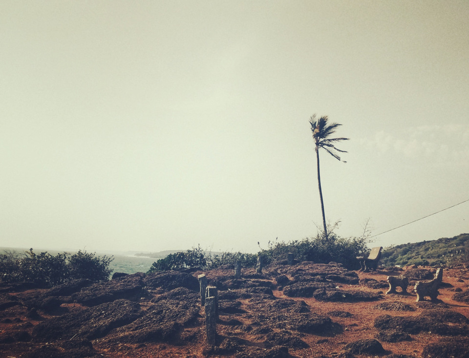 Photo of Vagator Beach, Goa by Debadrita Basak