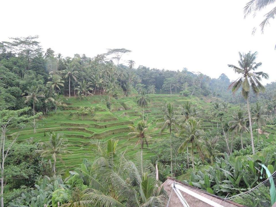 Photo of Seminyak Square, Seminyak, Badung Regency, Bali, Indonesia by Nehali Garg