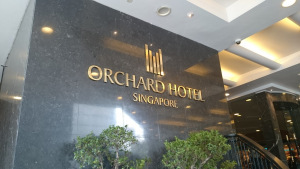 Photo of Week in Singapore - A Trip to remember 2/2 by Sushma Neeraj