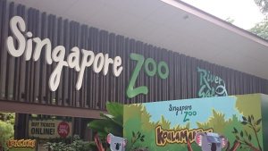 Photo of Singapore Zoo, Singapore by Sushma Neeraj