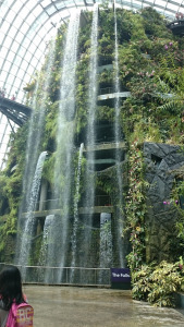 Photo of Gardens By The Bay East, Singapore by Sushma Neeraj