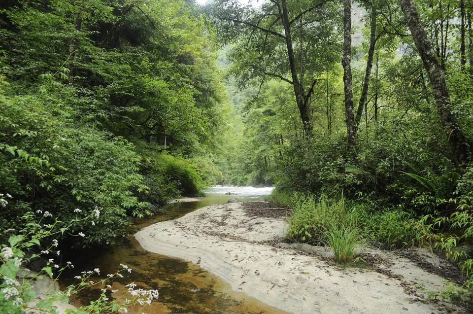 Photo of ATHU-POPU, The Trek That Made Us Stronger Than Before by Dipmoina Dowarah