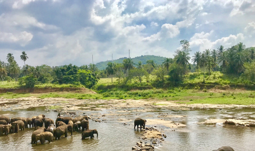 Photo of Sri Lanka: Land of Pristine Beaches and Mountains- One stop guide to explore the "Wonder of Asia" 1/1 by Astha And Vinny