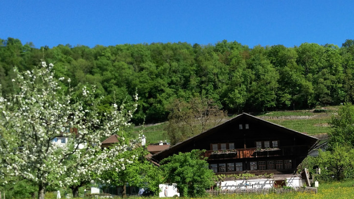 Photo of Spiez - A Postcard Town 5/5 by Namrata Bordoloi