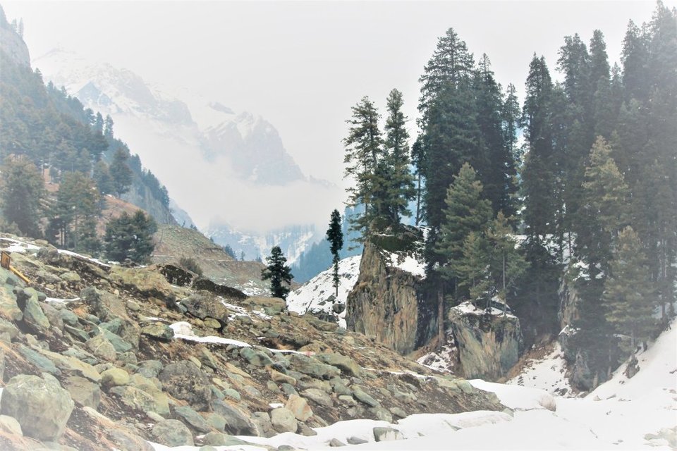 Photo of 6 night 7 days itinerary to Kashmir 5/6 by Rai Mukhrjee