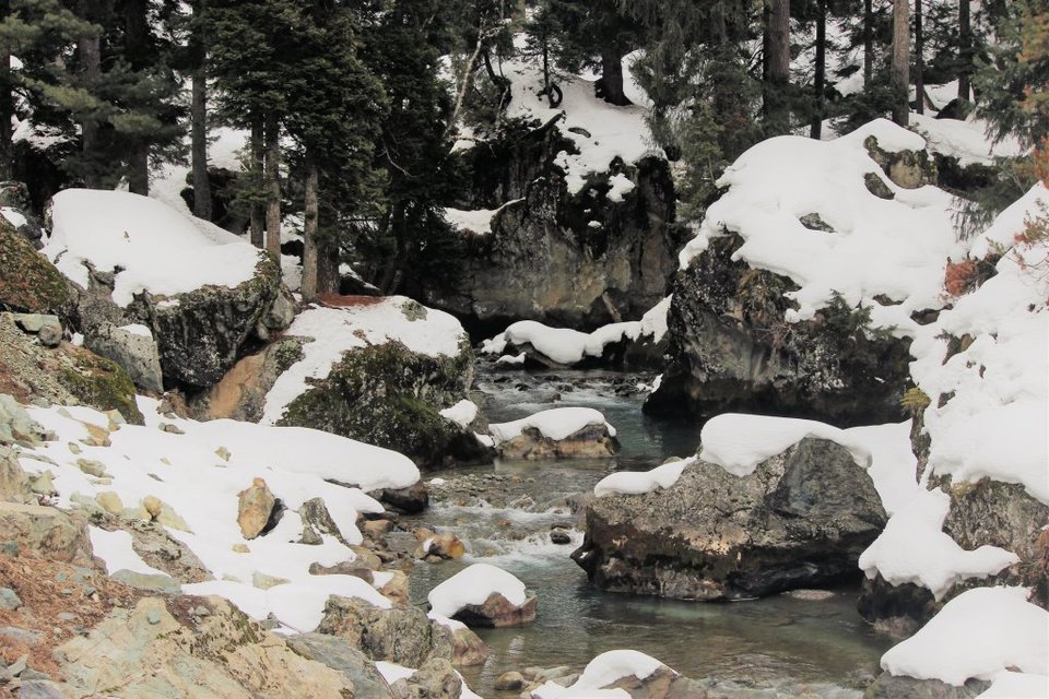 Photo of 6 night 7 days itinerary to Kashmir 6/6 by Rai Mukhrjee