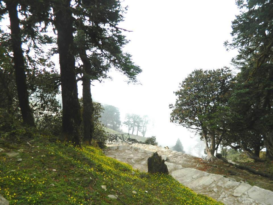 Photo of Chopta Is A Few Hours Away From Delhi And Perfect For Camping 11/11 by Arvind Sharma