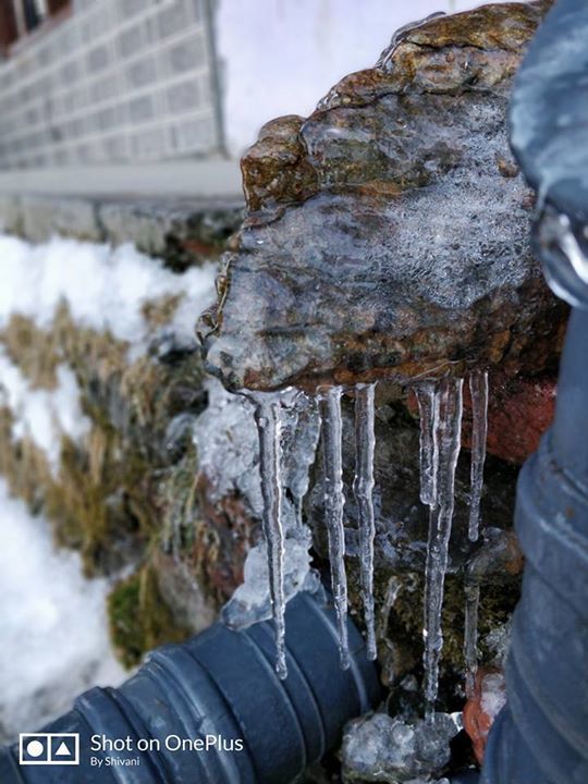Photo of My first snow adventure -Narkanda by Shivani Behl Vashishtha