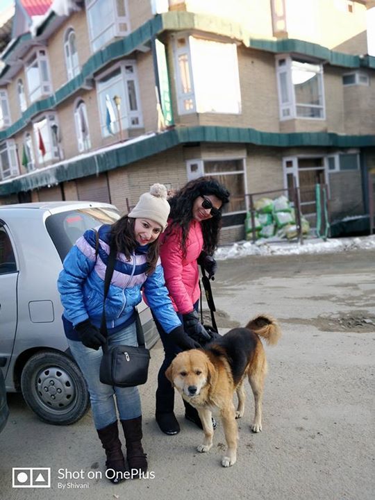 Photo of My first snow adventure -Narkanda by Shivani Behl Vashishtha