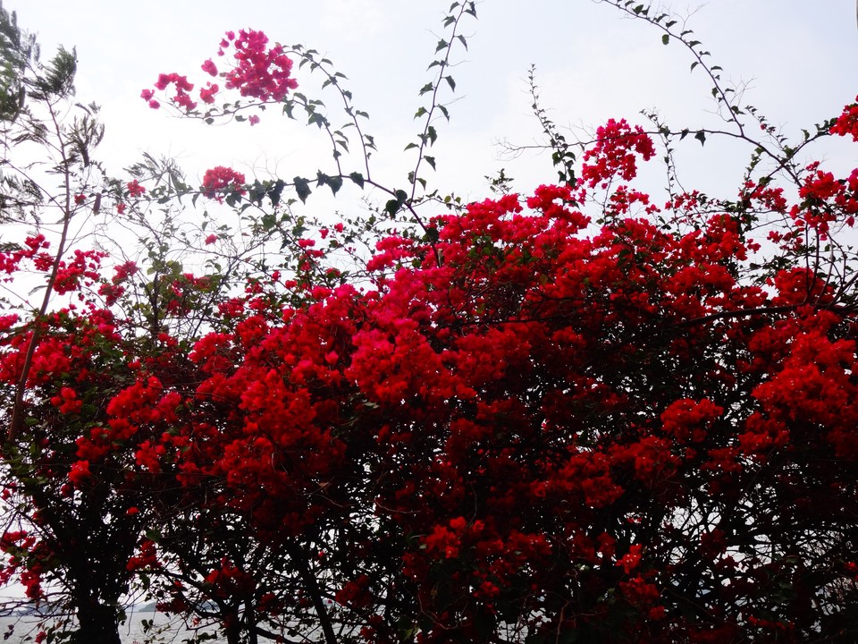 Photo of Top 8 Places/Tourist Attractions/Points of Interest to Visit in Kerala by Aditi & Deepak