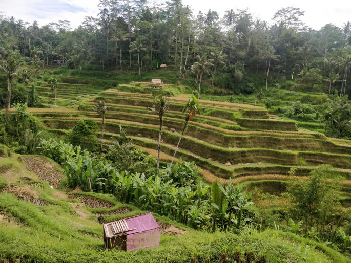 Photo of South Bali, Kuta Uluwatu & Ubud on budget 23/34 by ghumakkad_yogi