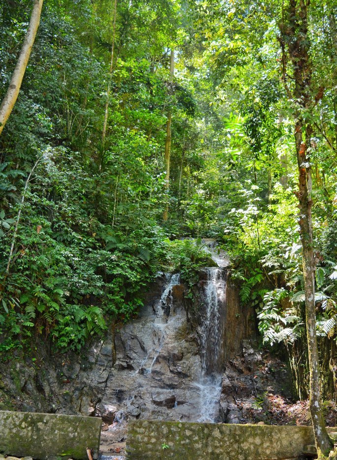 Photo of A long drive in Pahang Malaysia Pt-1 Fraser's Hills 8/32 by ghumakkad_yogi