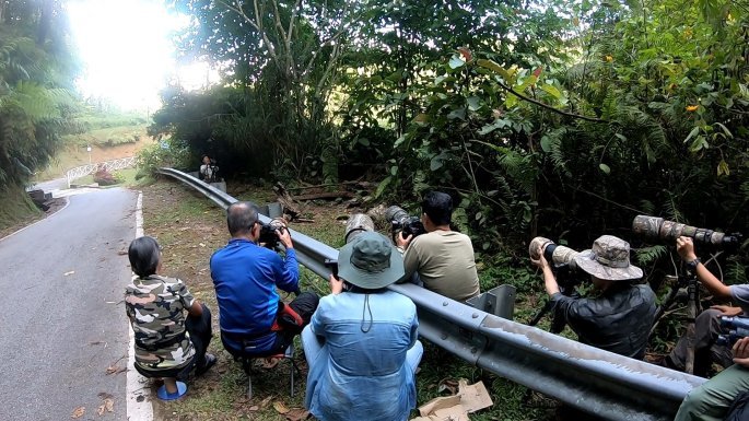 Photo of A long drive in Pahang Malaysia Pt-1 Fraser's Hills 23/32 by ghumakkad_yogi