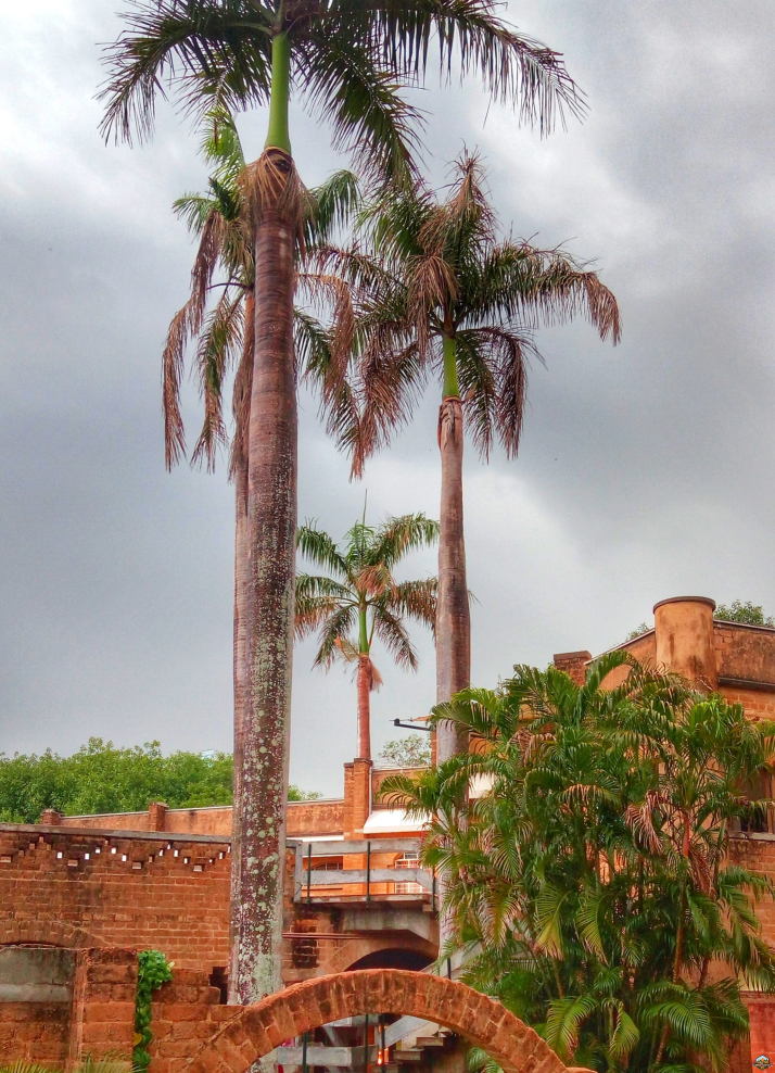 Photo of Pondicherry - Cherry of the South by Indian Footsteps