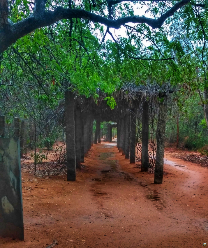 Photo of Pondicherry - Cherry of the South by Indian Footsteps