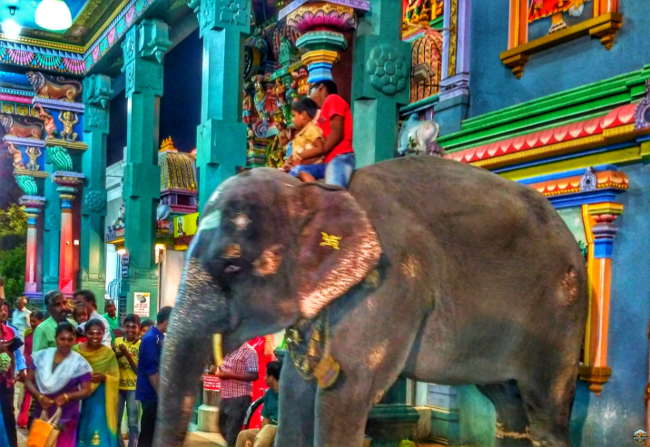 Photo of Pondicherry - Cherry of the South by Indian Footsteps