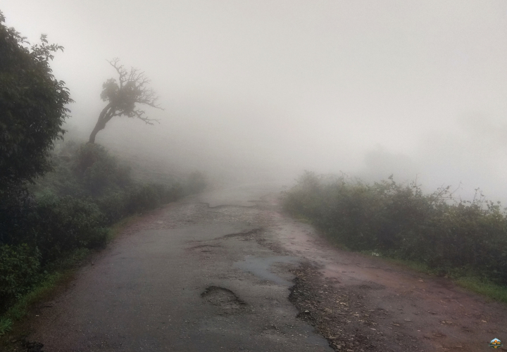 Photo of Chikmagalur in 48 hours by Indian Footsteps