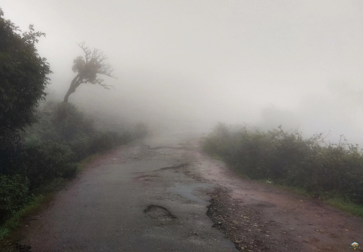 Photo of Chikmagalur in 48 hours by Indian Footsteps