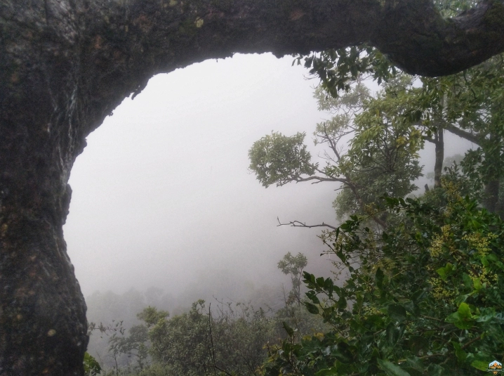 Photo of Chikmagalur in 48 hours by Indian Footsteps
