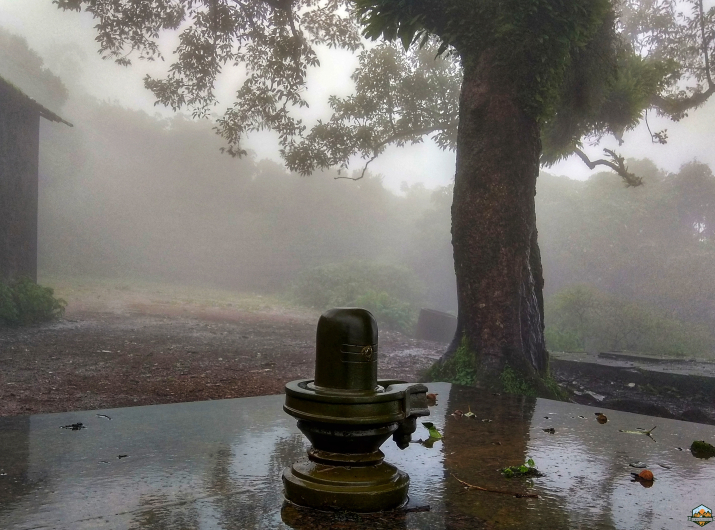 Photo of Chikmagalur in 48 hours by Indian Footsteps
