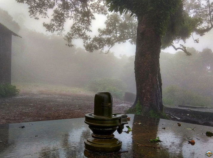 Photo of Chikmagalur in 48 hours by Indian Footsteps