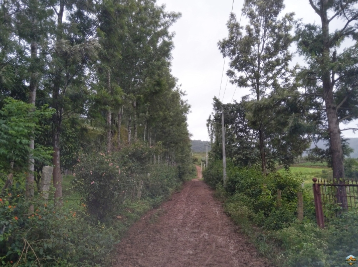 Photo of Chikmagalur in 48 hours by Indian Footsteps