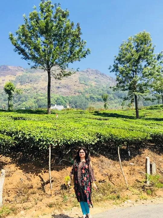 Photo of Munnar hill station, Munnar - Top Station Highway, Kannan Devan Hills, Kerala, India by Marigold Odyssey