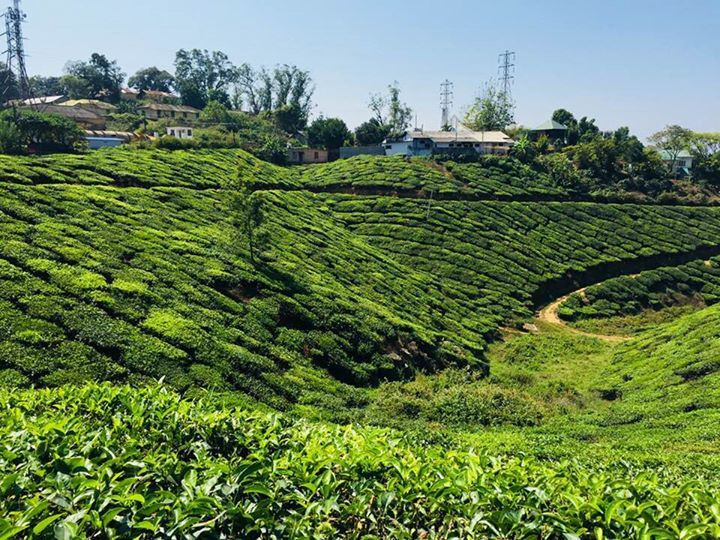 Photo of Munnar hill station, Munnar - Top Station Highway, Kannan Devan Hills, Kerala, India by Tropical Pahadi
