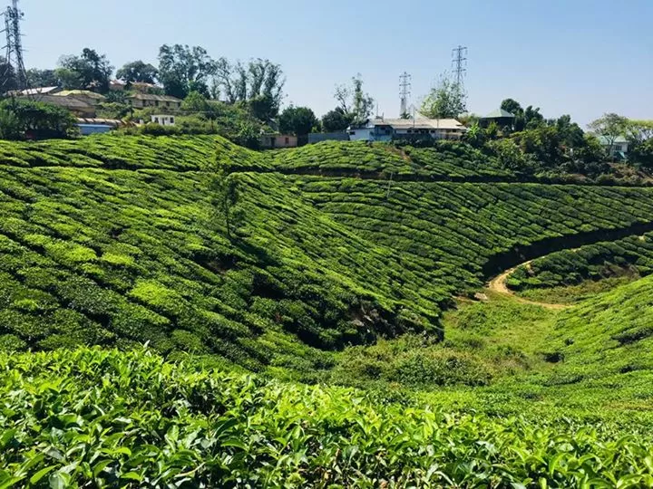 Photo of Munnar hill station, Munnar - Top Station Highway, Kannan Devan Hills, Kerala, India by Marigold Odyssey