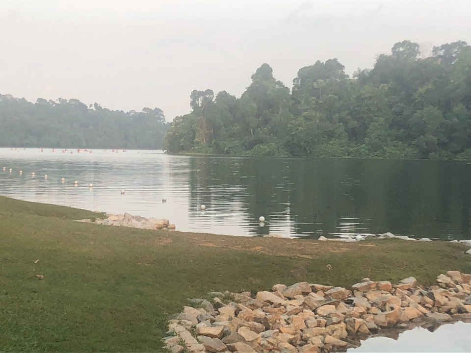Photo of MacRitchie Reservoir, Singapore by Marigold Odyssey